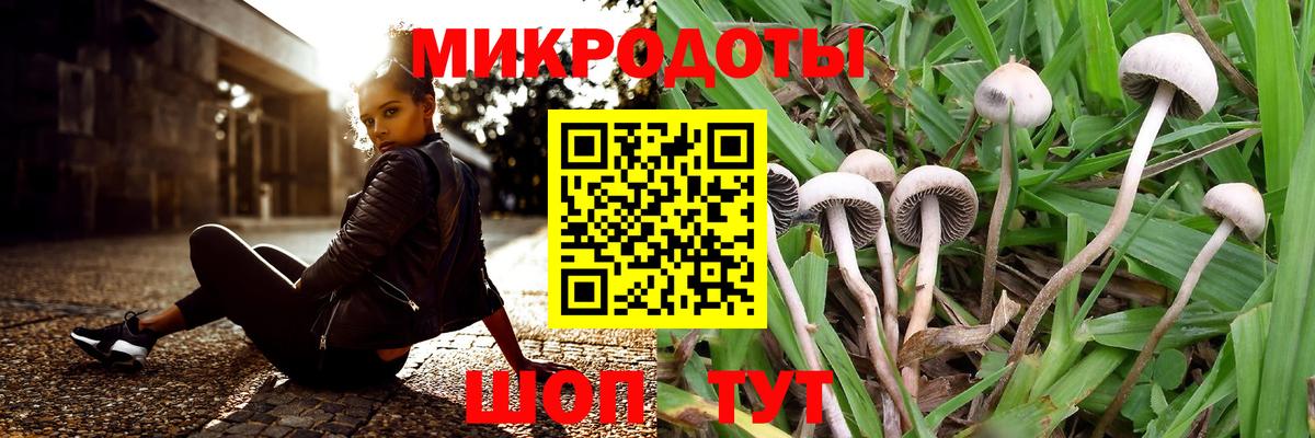 Псилоцибиновые грибы GOLDEN TEACHER  Галлюциногенные грибы прущие грибы  Пенза  Вход с VPN 
